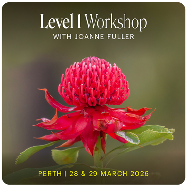 Level 1 - Perth with Joanne Fuller - 28th & 29th March 2026