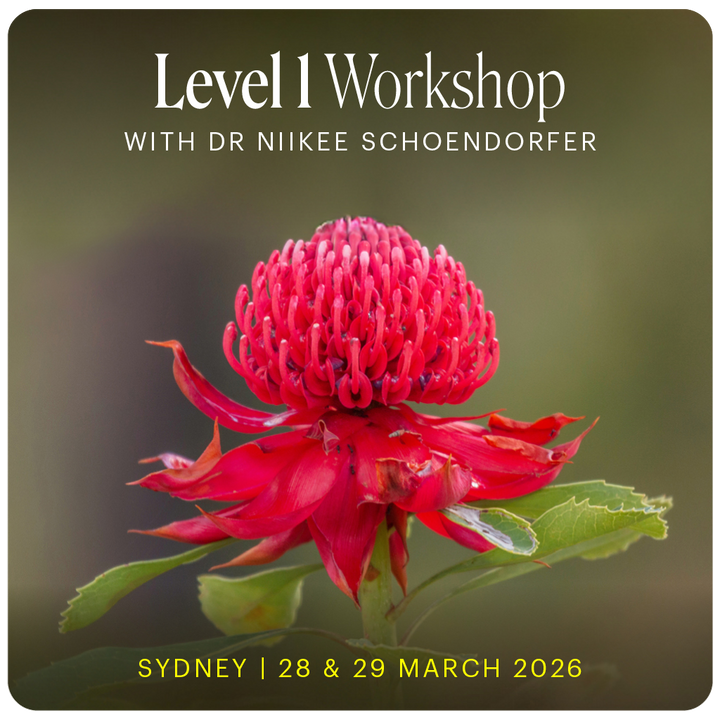 Level 1 - Sydney with Niikee Schoendorfer - 28th & 29th March, 2026
