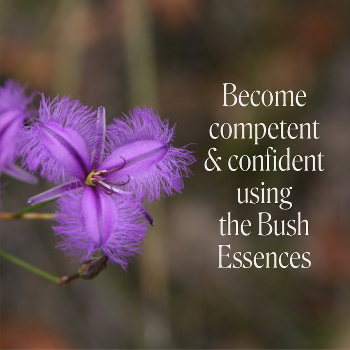 Level 1 - Noosa with Dr Niikee Schoendorfer - 28th February & 1st March 2026