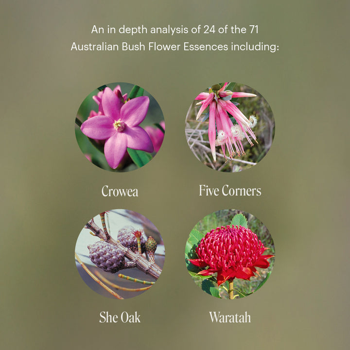 Level 1 - Noosa with Dr Niikee Schoendorfer - 28th February & 1st March 2026