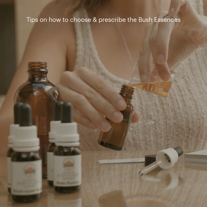 Level 1 - Noosa with Dr Niikee Schoendorfer - 28th February & 1st March 2026