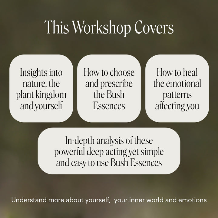 Level 1 - Noosa with Dr Niikee Schoendorfer - 28th February & 1st March 2026