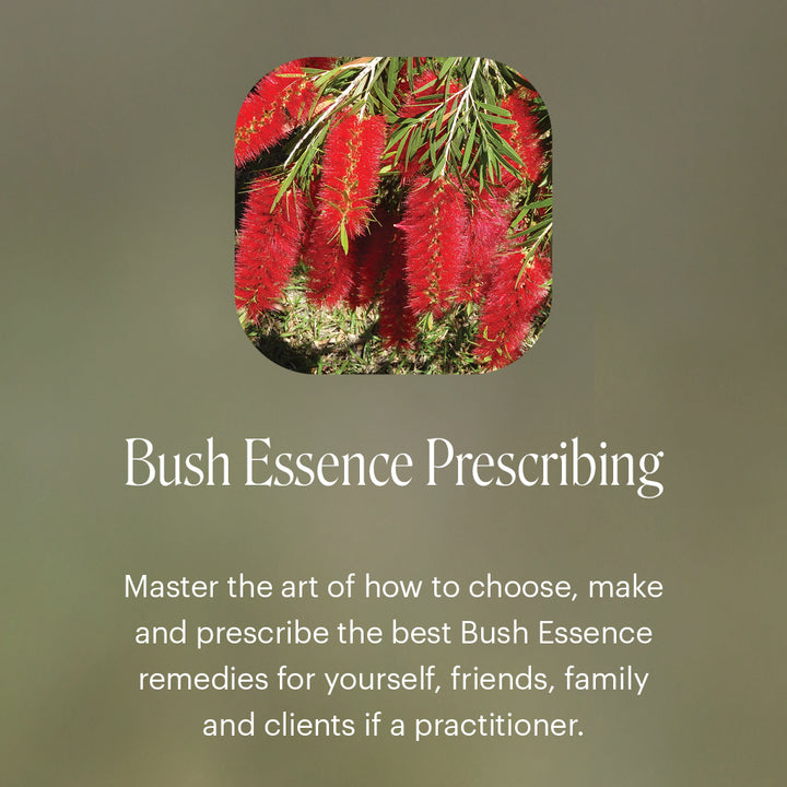 Level 1 - Noosa with Dr Niikee Schoendorfer - 28th February & 1st March 2026