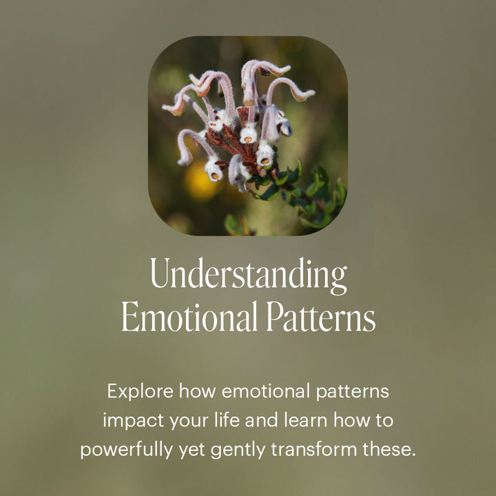 Level 1 - Noosa with Dr Niikee Schoendorfer - 28th February & 1st March 2026