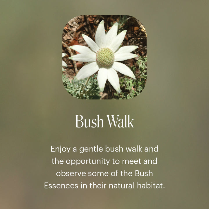 Level 1 - Noosa with Dr Niikee Schoendorfer - 28th February & 1st March 2026