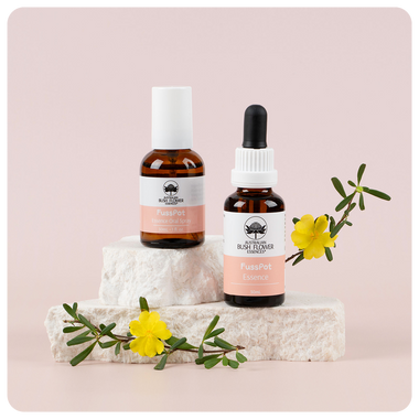 FussPot Essence Bundle