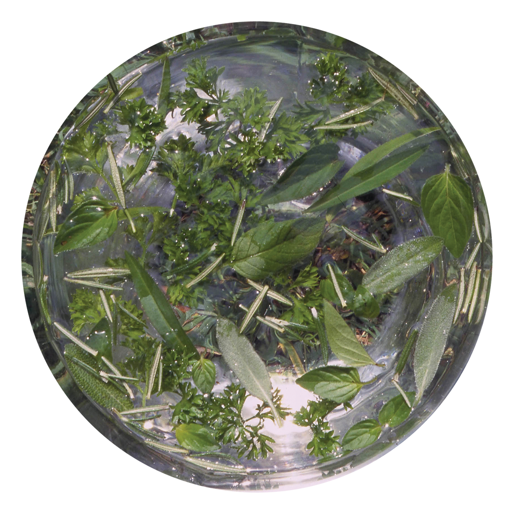 Green Essence Australia Australian Bush Flower Essences