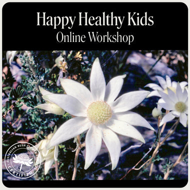 Happy Healthy Kids Online Workshop