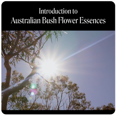 Introduction to Australian Bush Flower Essences - Online
