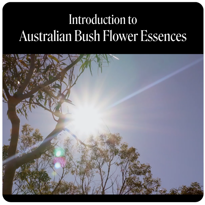 Introduction to Australian Bush Flower Essences - Online