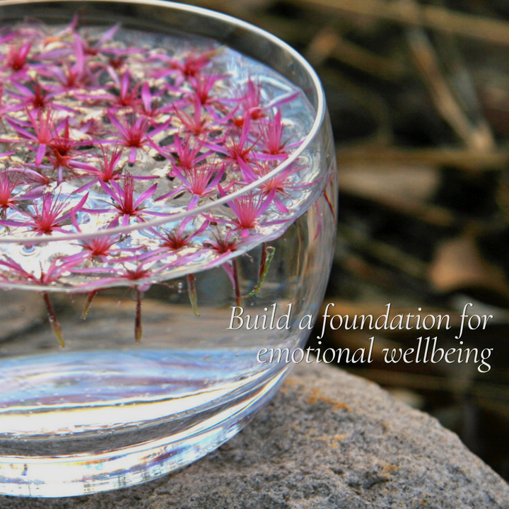 Introduction to Australian Bush Flower Essences - Online