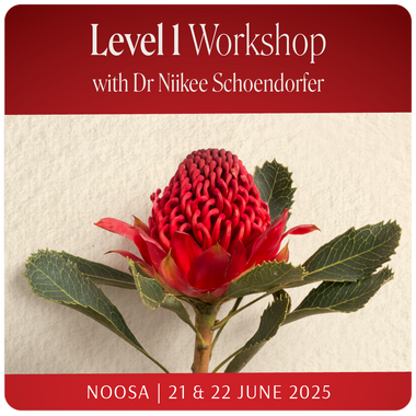 Level 1 - Noosa with Dr Niikee Schoendorfer - 21st & 22nd June 2025