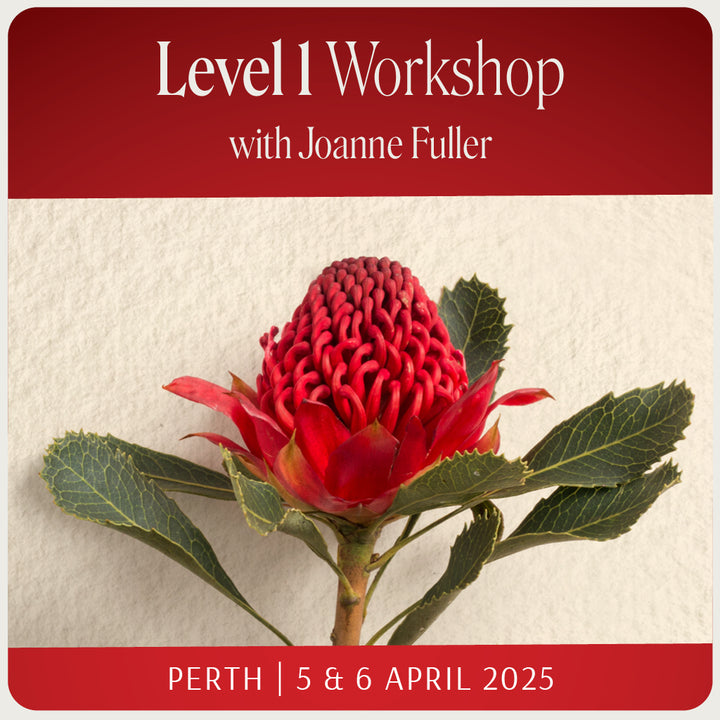 Level 1 - Perth with Joanne Fuller - 5th & 6th April 2025