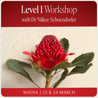 Level 1 Workshop Noosa