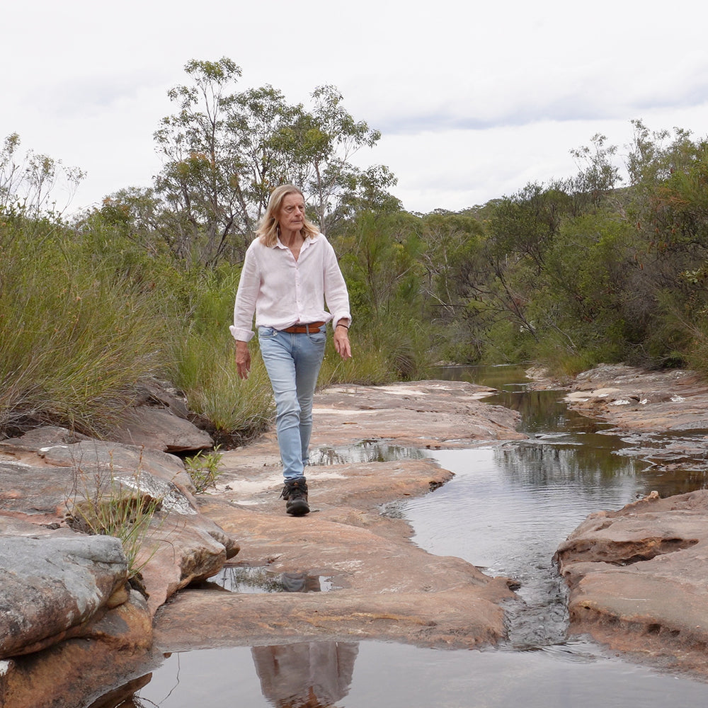 Ian's January Newsletter 2026