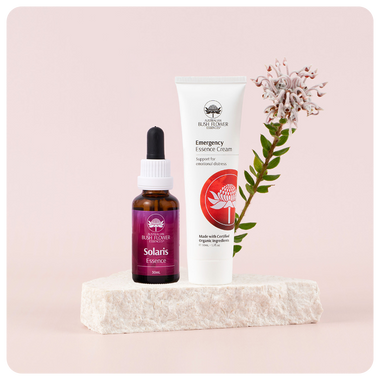 Summer Recovery Bundle