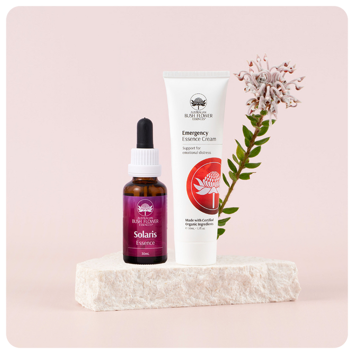 Summer Recovery Bundle