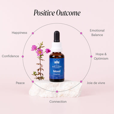 Mood Essence 30ml