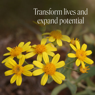 Level 2 - Noosa with Dr Niikee Schoendorfer - 18th & 19th July, 2026, 2026