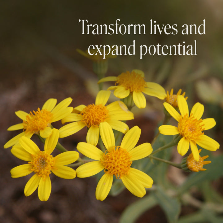 Level 2 - Noosa with Dr Niikee Schoendorfer - 18th & 19th July, 2026, 2026