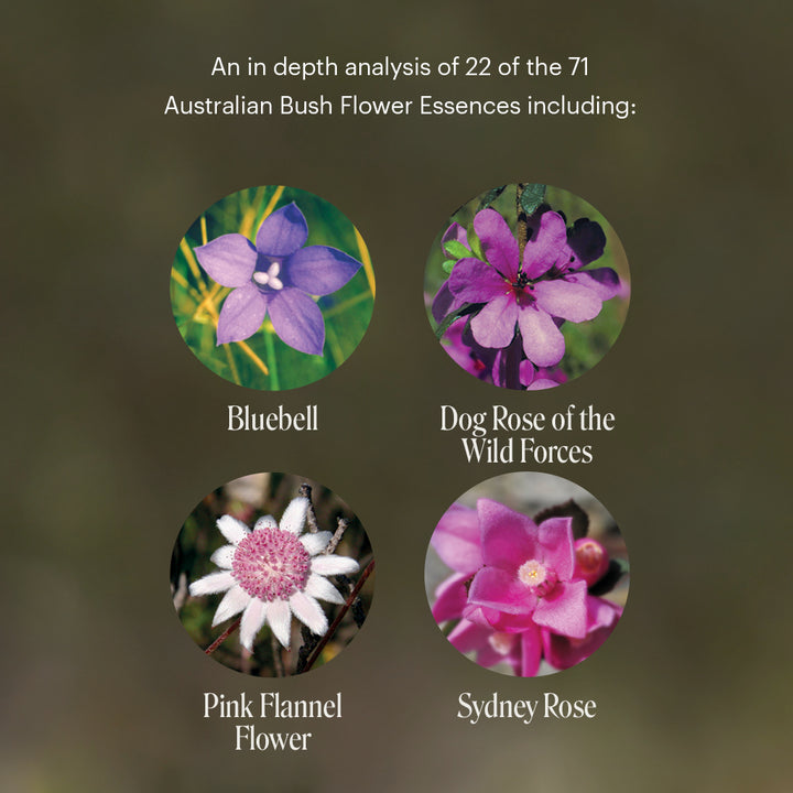 Level 2 - Noosa with Dr Niikee Schoendorfer - 18th & 19th July, 2026, 2026