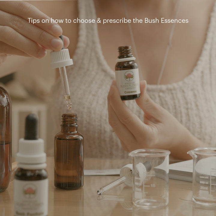 Level 2 - Noosa with Dr Niikee Schoendorfer - 18th & 19th July, 2026, 2026