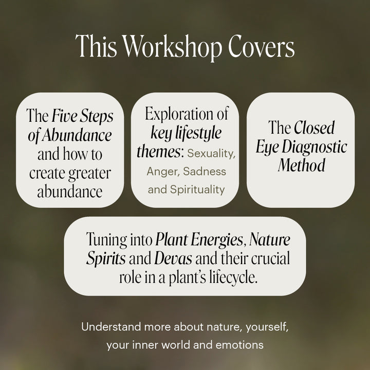 Level 2 - Noosa with Dr Niikee Schoendorfer - 18th & 19th July, 2026, 2026