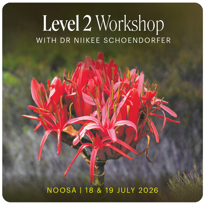 Level 2 - Noosa with Dr Niikee Schoendorfer - 18th & 19th July, 2026, 2026