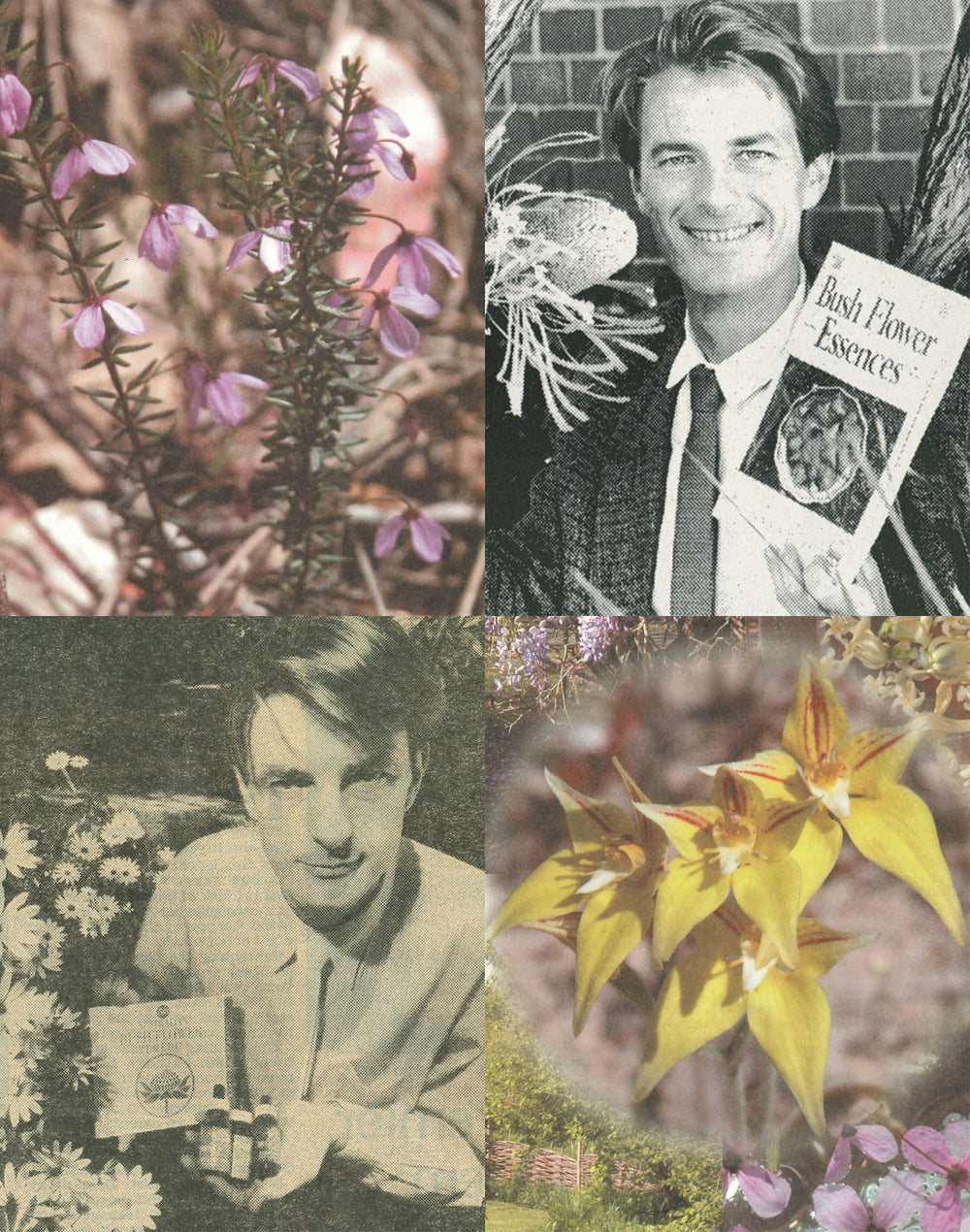 A 40-Year Journey Through the Bush Essences: The 1990s
