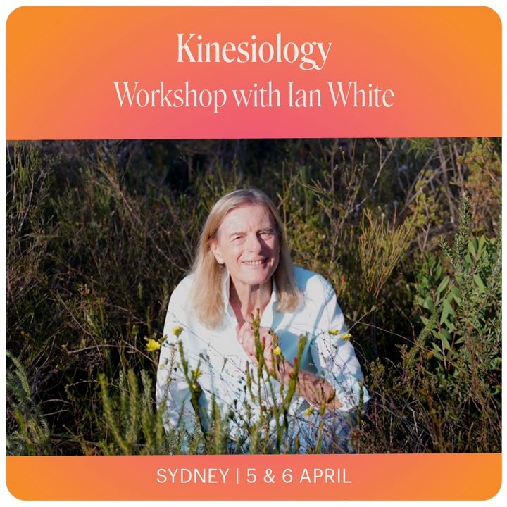 Kinesiology & ABFE - Sydney with Ian White - 5th & 6th April 2025