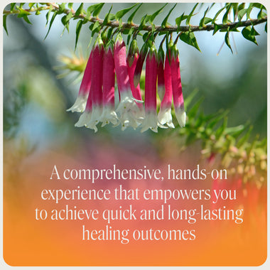 Kinesiology - Christchurch with Ian White - 27th & 28th February, 2027