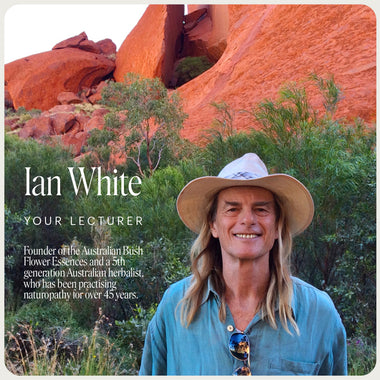Kinesiology - Christchurch with Ian White - 27th & 28th February, 2027