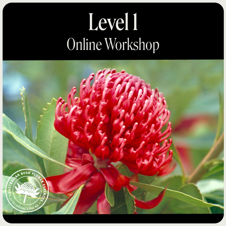 Level 1 Australian Bush Flower Essences Online Workshop
