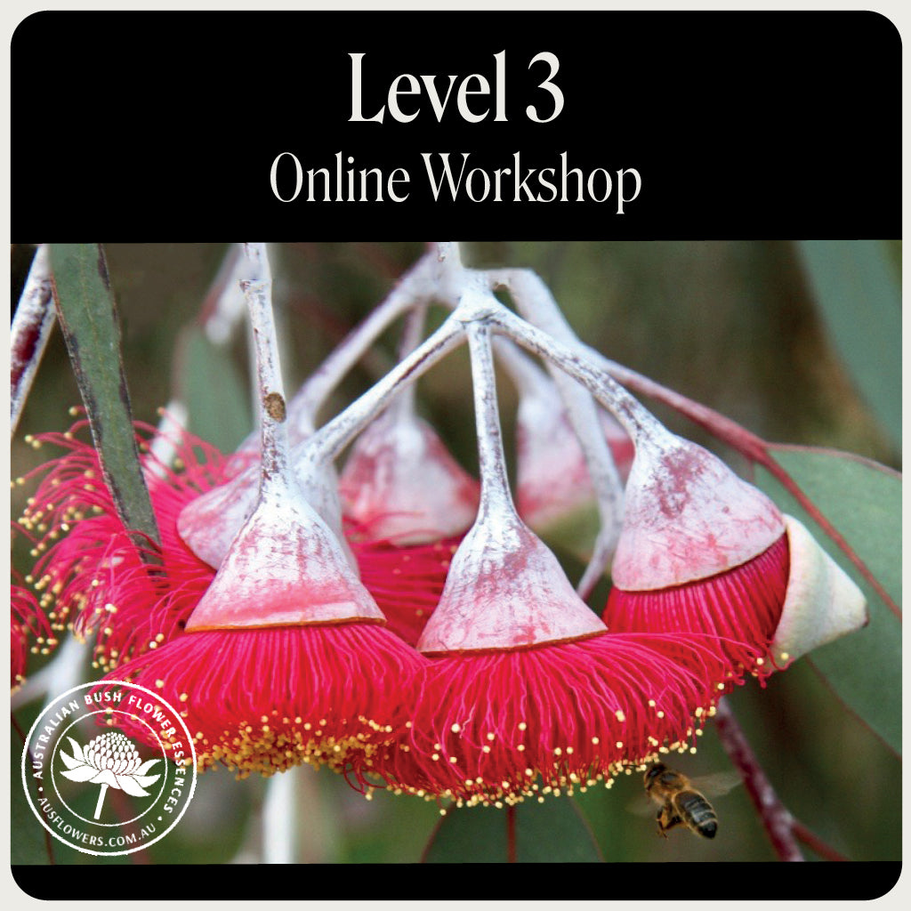 Level 3 inar Australian Bush Flower Essences