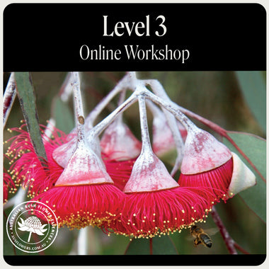 Level 3 Australian Bush Flower Essences Online Workshop
