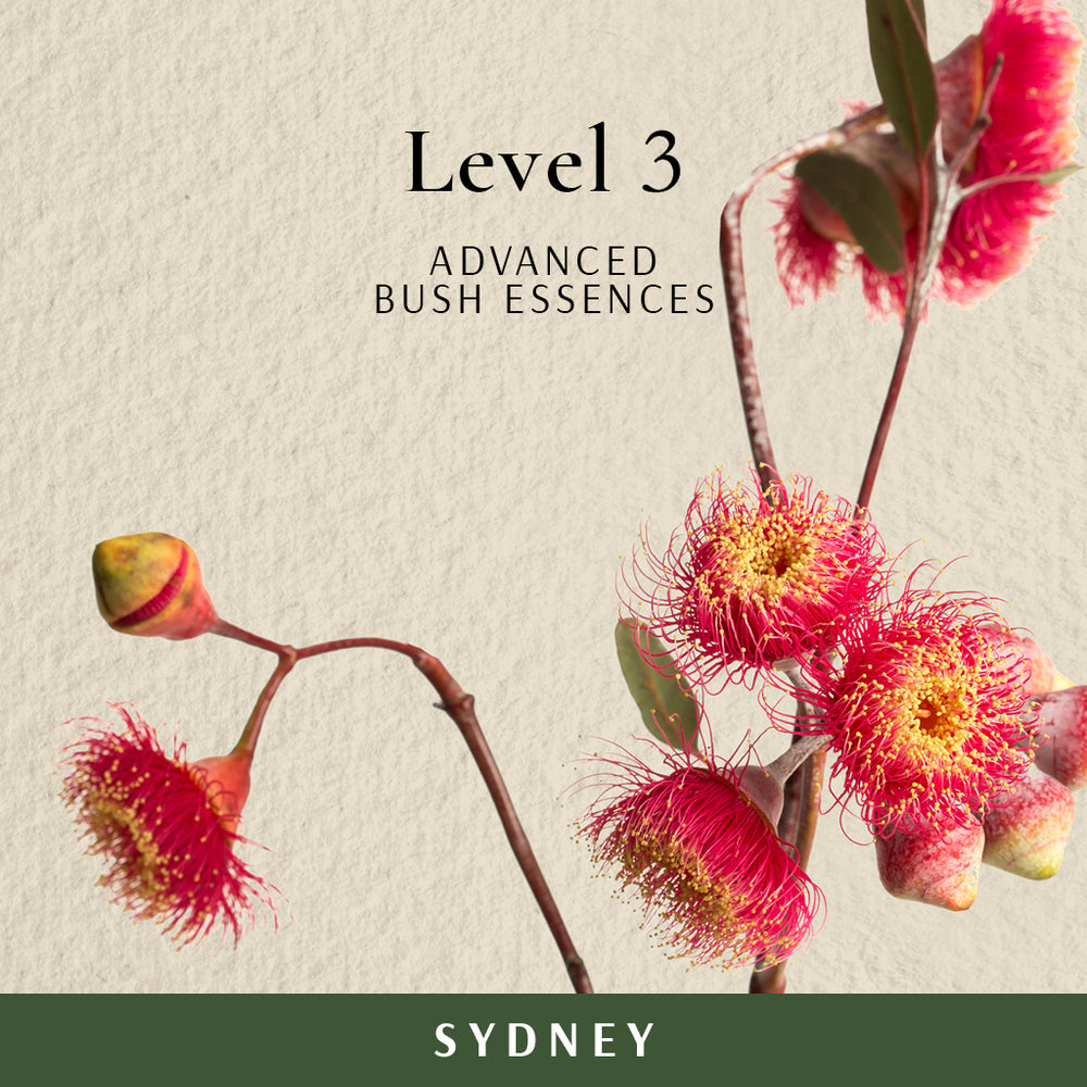 Australian Bush Flower Essences