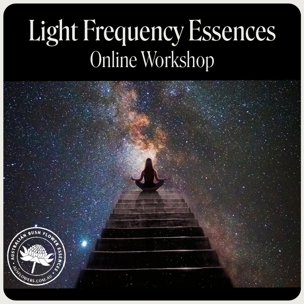 Light Frequency Essences Online Workshop – Australian Bush Flower Essences