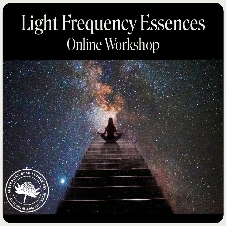 Light Frequency Essences Webinar