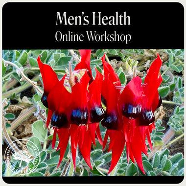 Men's Health Online Workshop