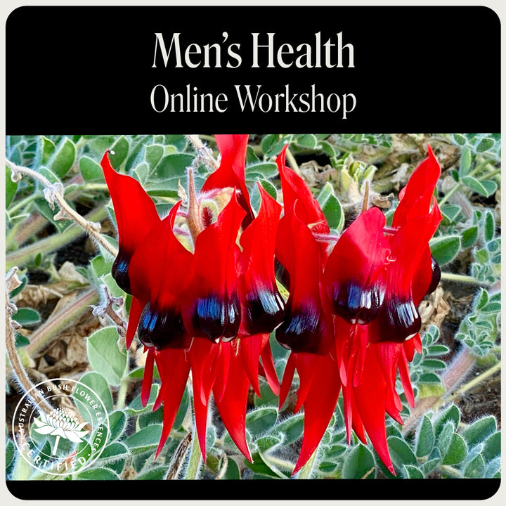 Men's Health Webinar