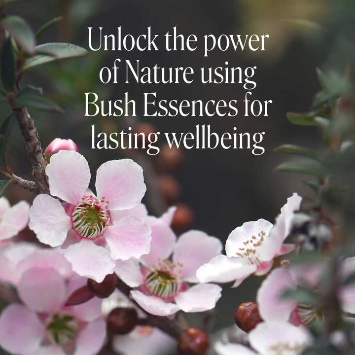 Mental & Emotional Wellbeing - Melbourne with Ian White - 18th October, 2026