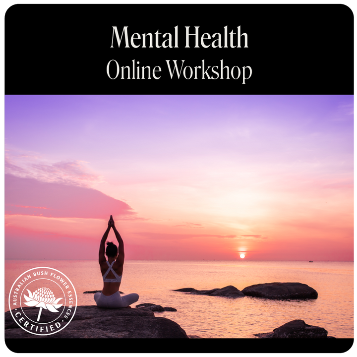 Mental Health Webinar