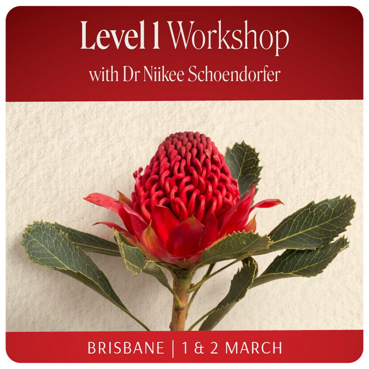 Level 1 Workshop Brisbane 2025