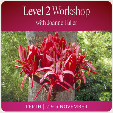 Level 2 - Perth with Joanne Fuller - 2nd & 3rd November 2024