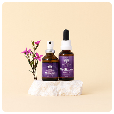 Meditation Essence Bundle