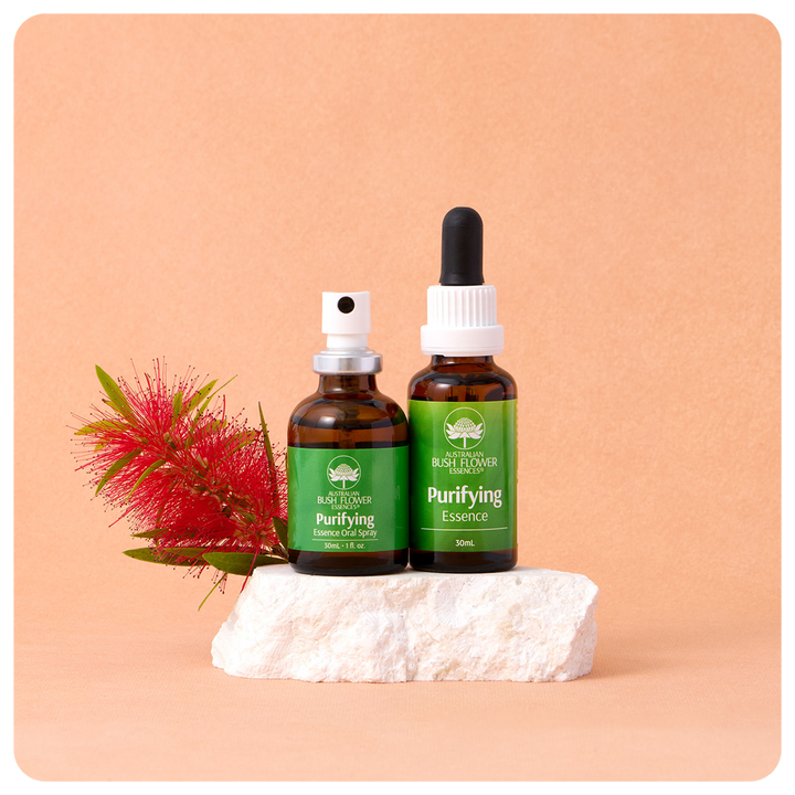 Purifying Essence Bundle