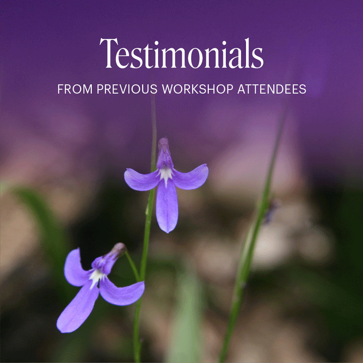 Numerology - Sydney with Ian White - 18th & 19th April, 2026