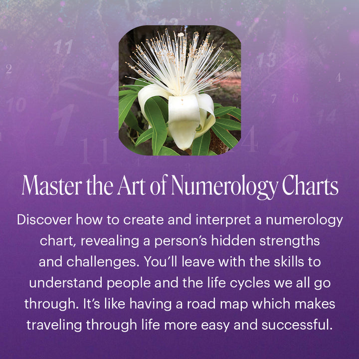 Numerology - Sydney with Ian White - 18th & 19th April, 2026