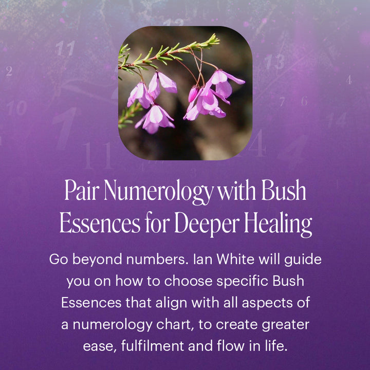 Numerology - Sydney with Ian White - 18th & 19th April, 2026