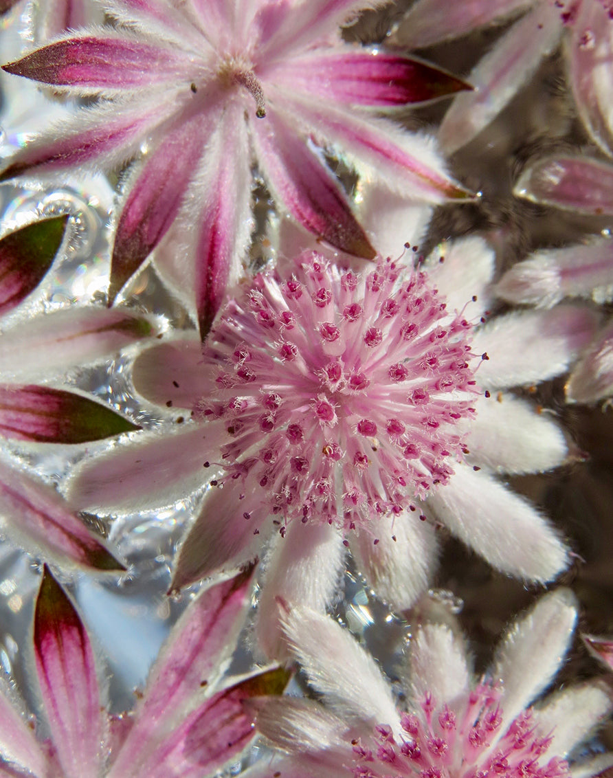 Ian's October 2025 Newsletter